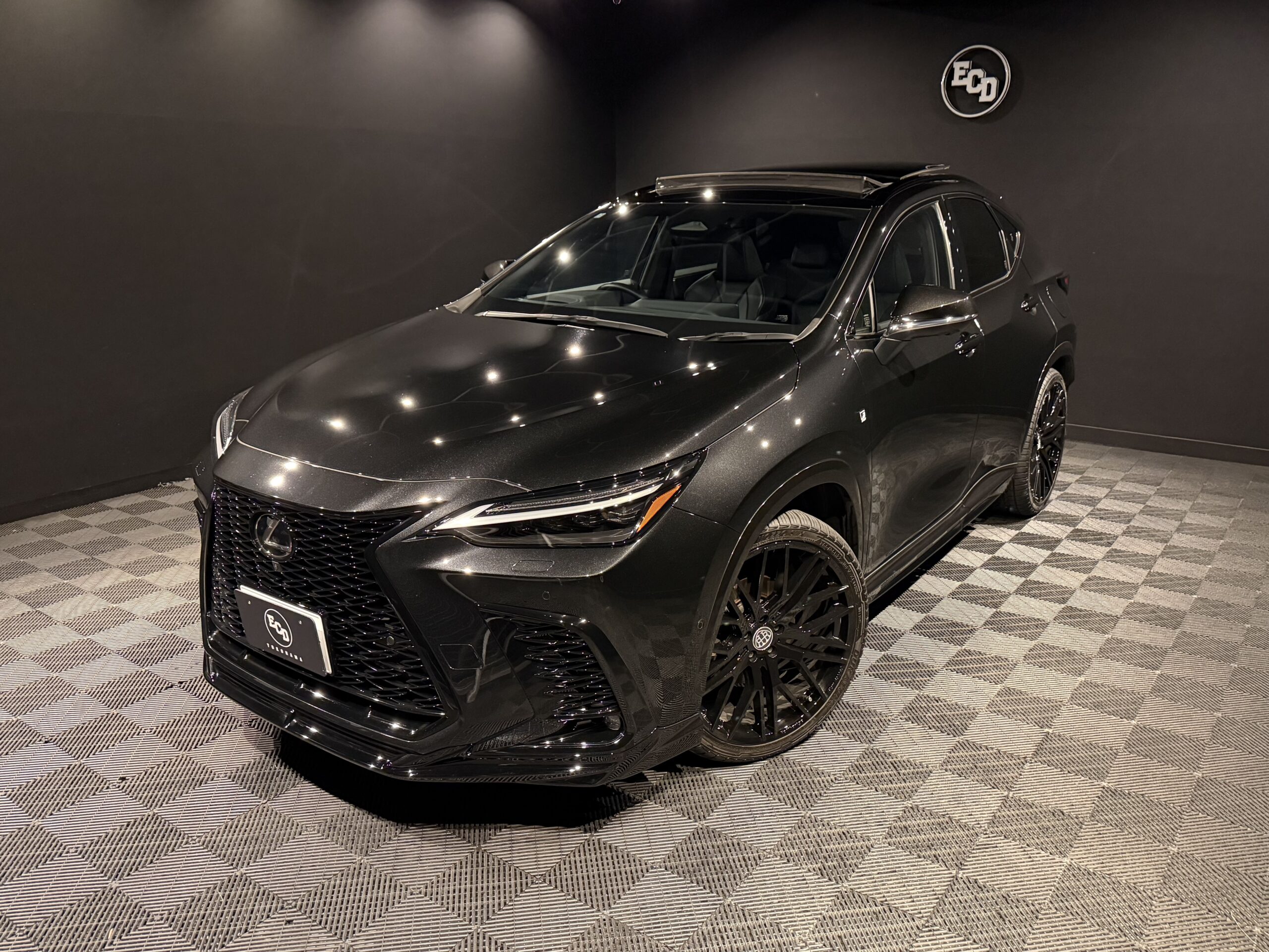 NX350h F SPORT